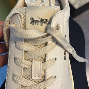 Coach fashion sneaker